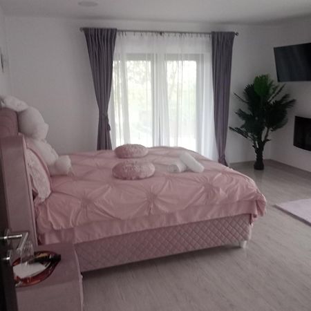 Izabella Guest House Sacele Bagian luar foto