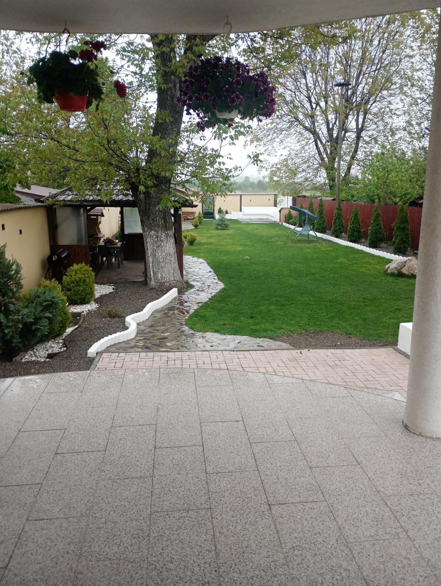 Izabella Guest House Sacele Bagian luar foto
