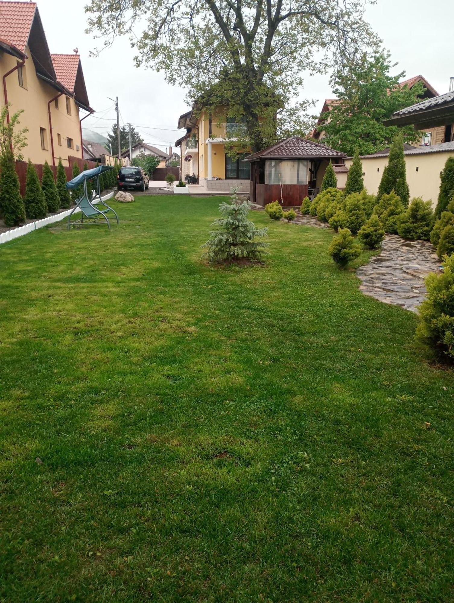 Izabella Guest House Sacele Bagian luar foto